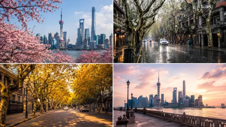A series of photos comparing the skylines of the Bund and Lujiazui in Shanghai during four seasons: spring cherry blossoms, summer rain, autumn gold, and winter sunshine.