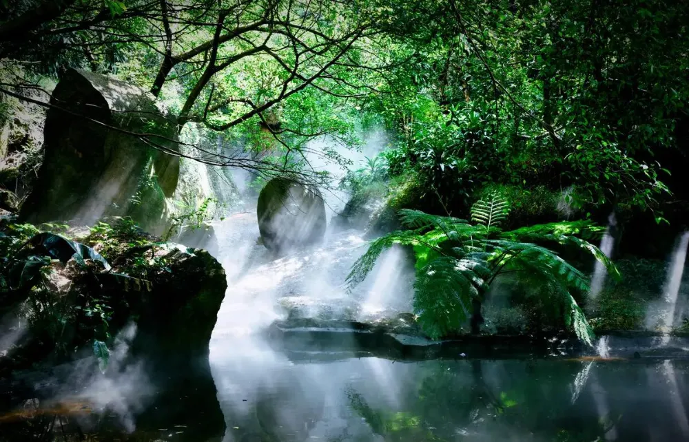 Xiamen Botanical Garden