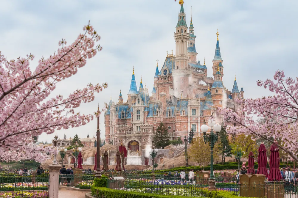 The Enchanted Storybook Castle at Shanghai Disneyland in spring with cherry blossoms in front